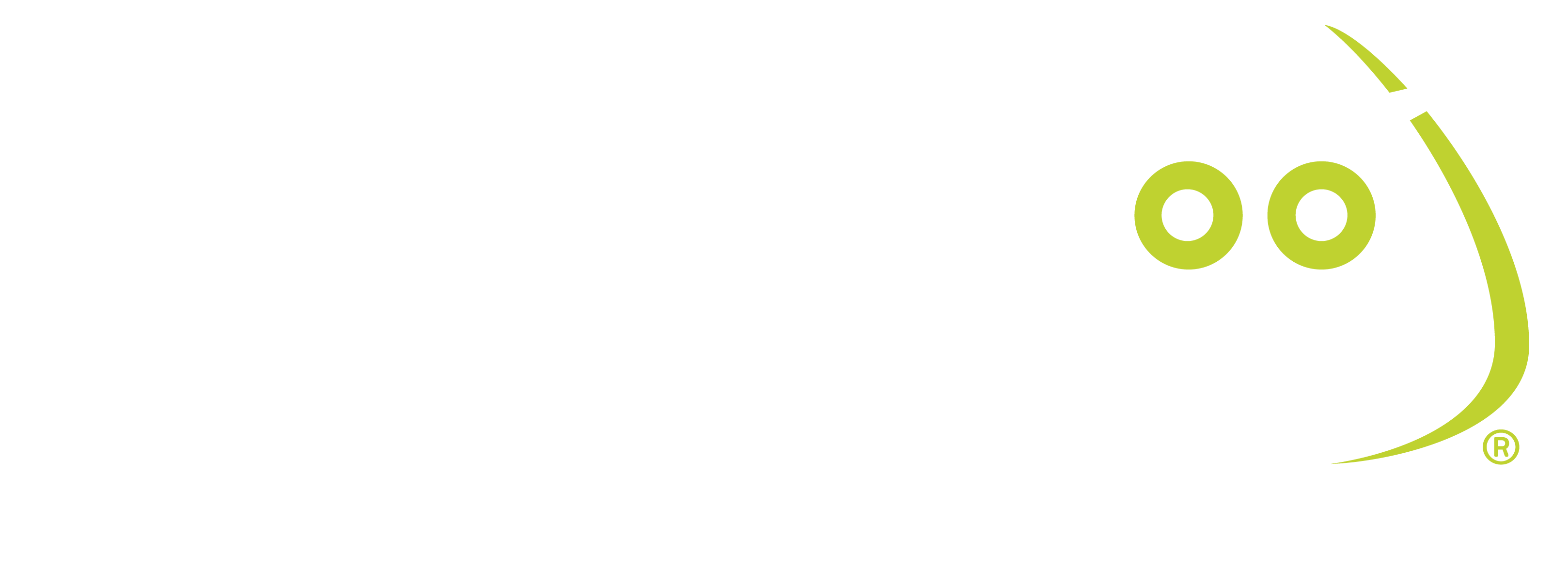 WISE Certified Official Logo